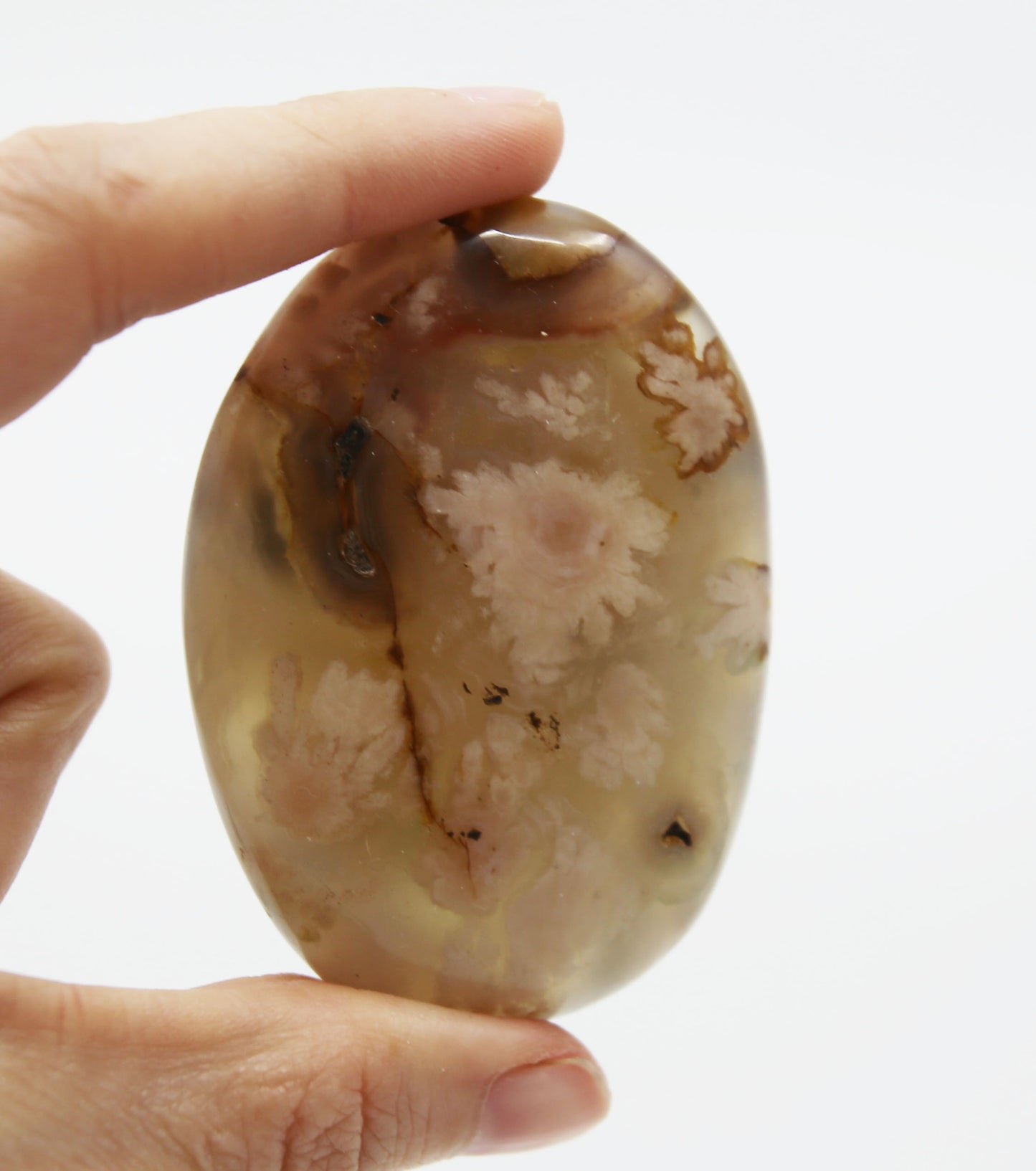 Flower Coral Agate Palm Stone